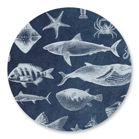Zeedieren blauw